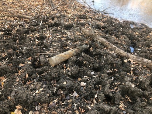 Обнаруженный снаряд представлял опасность, впоследствии он был уничтожен на месте