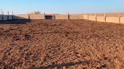 Двое скотокрадов из Домбаровского района окажутся на скамье подсудимых Двое скотокрадов из Домбаровского района окажутся на скамье подсудимых