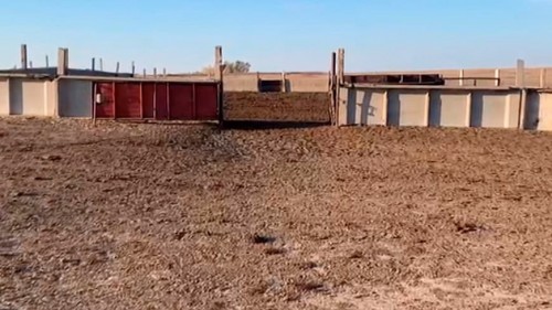 Двое скотокрадов из Домбаровского района окажутся на скамье подсудимых Двое скотокрадов из Домбаровского района окажутся на скамье подсудимых