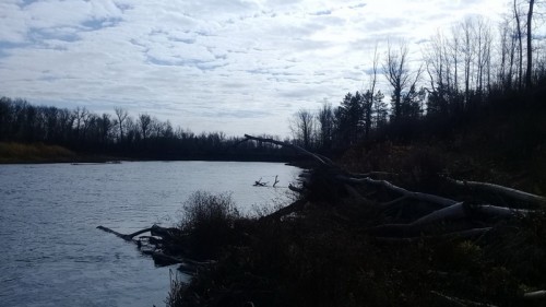 В Орске в реке Урал обнаружили тело женщины В Орске в реке Урал обнаружили тело женщины