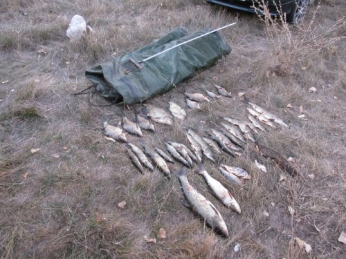 Сотрудники ОГИБДД ОМВД России по Саракташскому району задержали браконьеров Сотрудники ОГИБДД ОМВД России по Саракташскому району задержали браконьеров