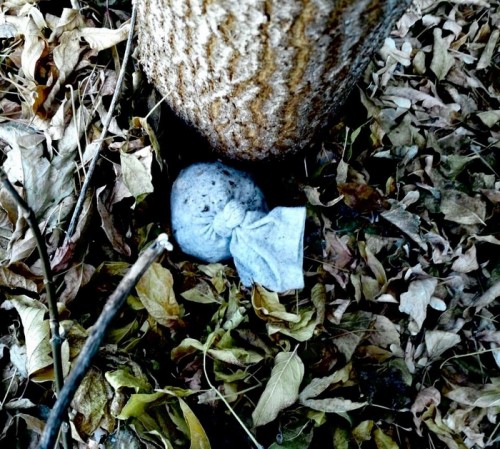 В Оренбурге у иностранцев изъяли 136 свертков с героином В Оренбурге у иностранцев изъяли 136 свертков с героином