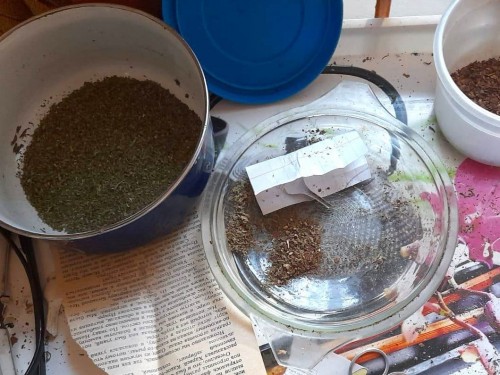 В Северном у местного жителя изъяли около 400 грамм марихуаны