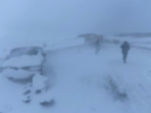 В Переволоцком районе столкнулись семь автомобилей – есть пострадавшие