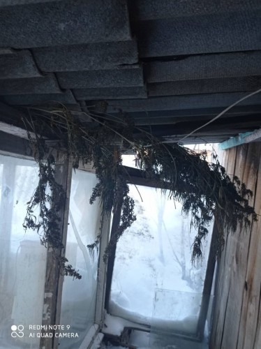 У жителя Грачевского района изъяли более 300 грамм марихуаны