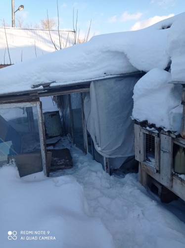 У жителя Грачевского района изъяли более 300 грамм марихуаны