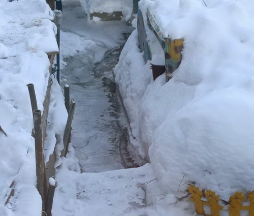 В Оренбурге на улице Набережная Сакмары вода затопила дом по самые окна