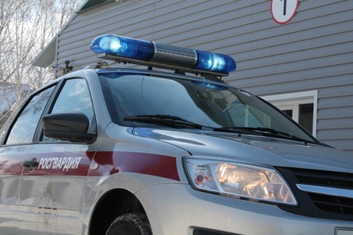 Росгвардейцы задержали в Энергетике пьяного мужчину за рулем автомобиля Росгвардейцы задержали в Энергетике пьяного мужчину за рулем автомобиля