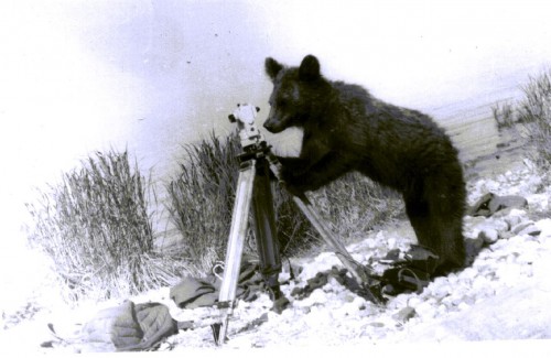 В объективе - геодезия