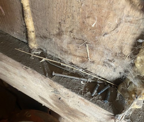 В Кваркено полицейские изъяли карабин и патроны В Кваркено полицейские изъяли карабин и патроны