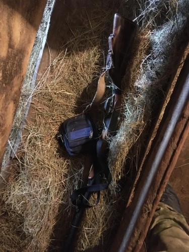 В Домбаровском районе возбуждено уголовное дело по факту жестокого обращения с животным