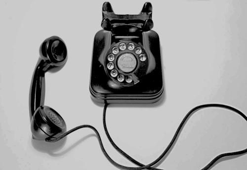 Кадастровая палата проконсультирует дачников