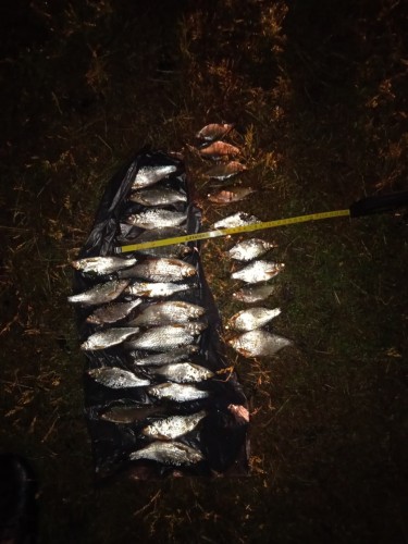 Бугурусланскими полицейскими возбуждено уголовное дело по факту незаконного вылова рыбы