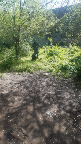  В Оренбурге сотрудники полиции устанавливают местонахождение автомобиля и лиц, совершивших угон