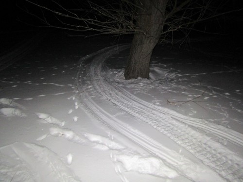 Первомайские полицейские направили в суд уголовное дело по факту незаконной охоты Первомайские полицейские направили в суд уголовное дело по факту незаконной охоты