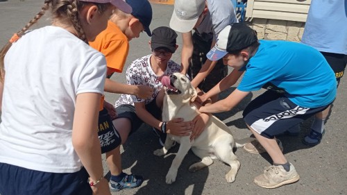 В Оренбургской области в День кинологической службы воспитанники реабилитационного центра «Гармония» познакомились со служебными собаками В Оренбургской области в День кинологической службы воспитанники реабилитационного центра «Гармония» познакомились со служебными собаками