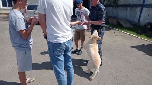 В Оренбургской области в День кинологической службы воспитанники реабилитационного центра «Гармония» познакомились со служебными собаками В Оренбургской области в День кинологической службы воспитанники реабилитационного центра «Гармония» познакомились со служебными собаками