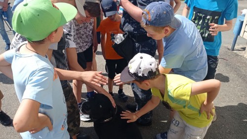 В Оренбургской области в День кинологической службы воспитанники реабилитационного центра «Гармония» познакомились со служебными собаками В Оренбургской области в День кинологической службы воспитанники реабилитационного центра «Гармония» познакомились со служебными собаками