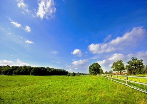 В Оренбуржье выявлено более 700 обладателей ранее учтенной недвижимости