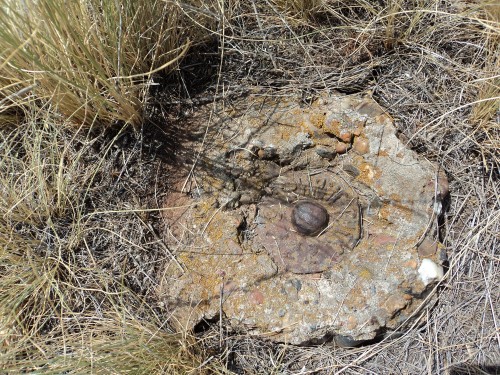 В Оренбуржье проверяют состояние пунктов ГГС