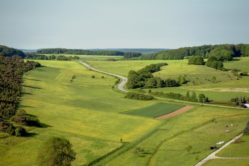 В Кадастровой палате рассказали, как узнать вид разрешенного использования земельного участка В Кадастровой палате рассказали, как узнать вид разрешенного использования земельного участка
