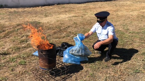 Саракташские полицейские уничтожили изъятые наркотики
