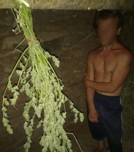 В ходе профилактического мероприятия «Мак» сотрудниками полиции обнаружено и изъято наркотическое вещество