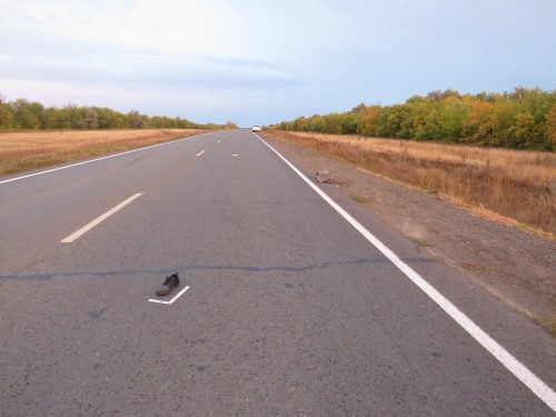 Саракташские полицейские устанавливают обстоятельства гибели пешехода