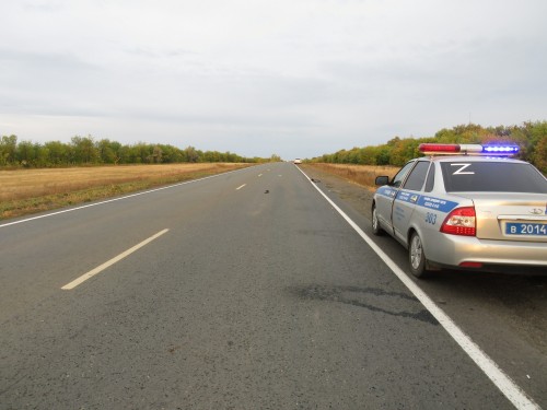 Саракташские полицейские устанавливают обстоятельства гибели пешехода