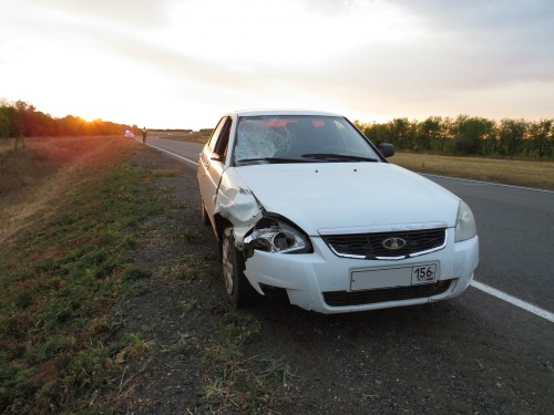 Саракташские полицейские устанавливают обстоятельства гибели пешехода