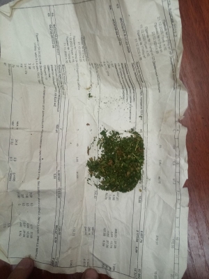 Полицейские Сорочинского городского округа изъяли у 60-летнего местного жителя наркотическое средство