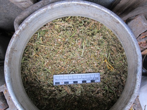 Сотрудники полиции Кувандыка изъяли из незаконного оборота более восьми килограммов наркотиков