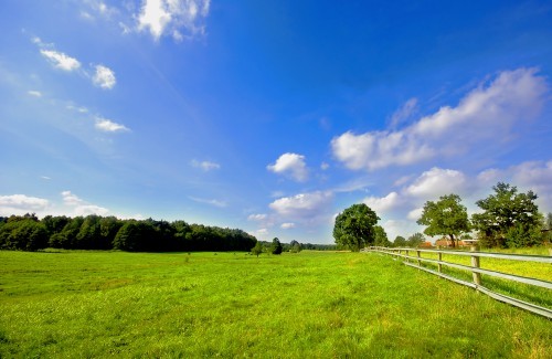 В Кадастровой палате рассказали, как самостоятельно изменить вида разрешенного использования участка В Кадастровой палате рассказали, как самостоятельно изменить вида разрешенного использования участка