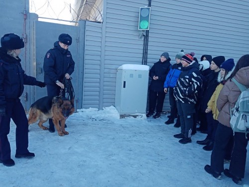 Переволоцкие полицейские приняли участие во Всероссийской акции профилактической направленности «Студенческий десант» Переволоцкие полицейские приняли участие во Всероссийской акции профилактической направленности «Студенческий десант»