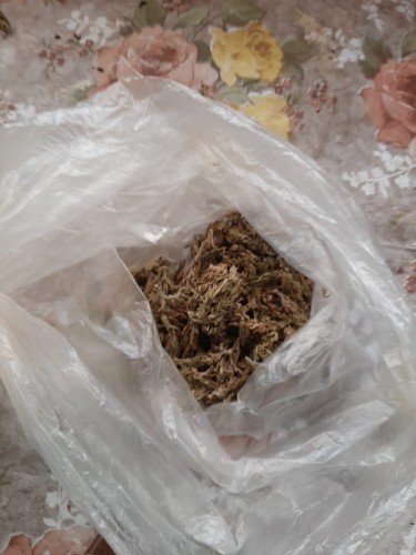 Саракташскими полицейскими изъяты наркотики растительного происхождения Саракташскими полицейскими изъяты наркотики растительного происхождения