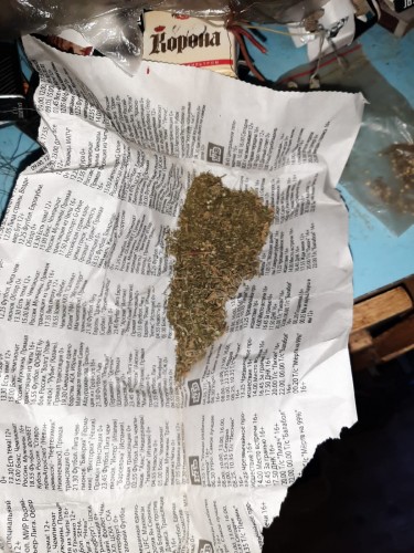 Саракташскими полицейскими изъяты наркотики растительного происхождения