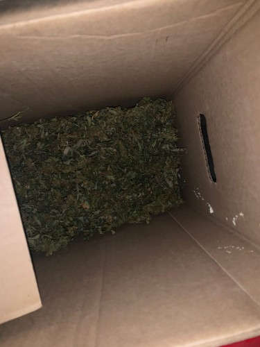 В Бугуруслане полицейские изъяли у 48-летнего местного жителя наркотическое средство.