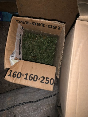 В Бугуруслане полицейские изъяли у 48-летнего местного жителя наркотическое средство.