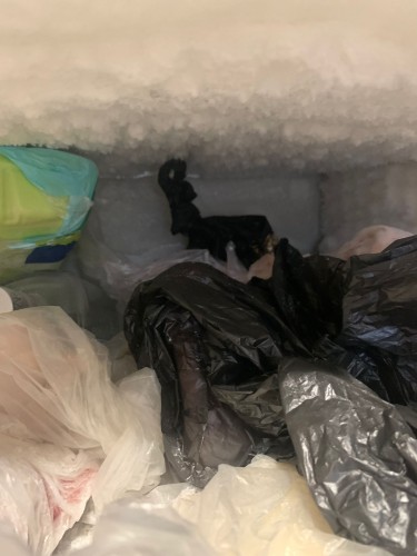 Оренбургской полицией задержан подозреваемый в покушении на сбыт «синтетики» неоднократно судимый местный житель Оренбургской полицией задержан подозреваемый в покушении на сбыт «синтетики» неоднократно судимый местный житель