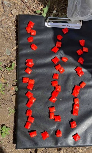 В Орске полицейские задержали мужчину, пытавшегося сбыть наркотики