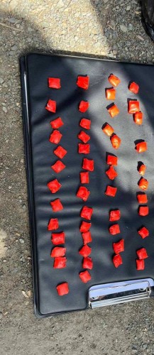 В Орске полицейские задержали мужчину, пытавшегося сбыть наркотики