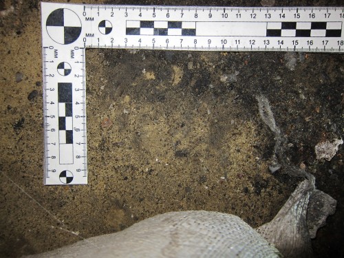 Полицейские Кувандыка задержали подозреваемого в краже имущества