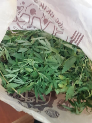 Полицейские Сорочинского городского округа изъяли у местной жительницы наркотическое средство Полицейские Сорочинского городского округа изъяли у местной жительницы наркотическое средство