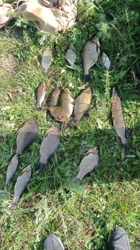 В Новоорском районе сотрудники полиции задержали браконьера, который ловил рыбу запрещенным способом В Новоорском районе сотрудники полиции задержали браконьера, который ловил рыбу запрещенным способом