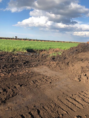 В Новосергиевском районе разлилась нефть