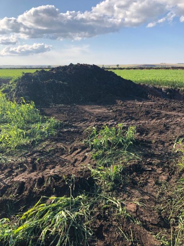 В Новосергиевском районе разлилась нефть