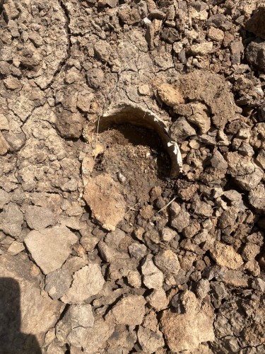 В оренбургском районе обнаружен скелет человека