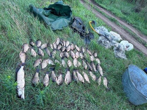 Шесть браконьеров задержали в Бузулуке