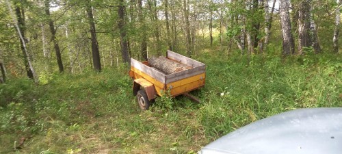 Дознавателем Отделения МВД России по Шарлыкскому району возбуждено уголовное дело по факту незаконного спила дуба