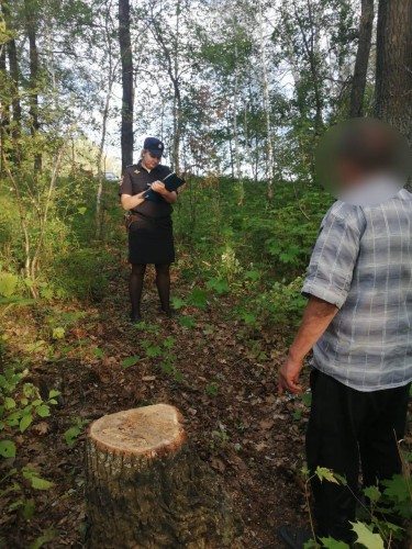 Дознавателем Отделения МВД России по Шарлыкскому району возбуждено уголовное дело по факту незаконного спила дуба Дознавателем Отделения МВД России по Шарлыкскому району возбуждено уголовное дело по факту незаконного спила дуба